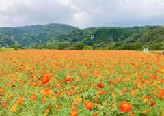 10月のお知らせ🎃🍭👻🌰🍁🍄