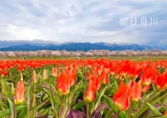 春爛漫🌸🌷⛰✨