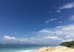 水曜なのに柄崎登場♪